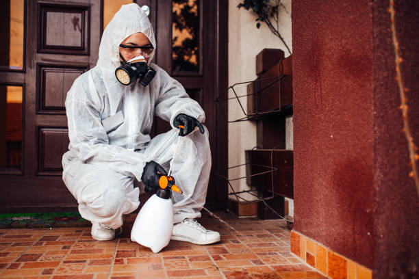 Reliable Bed Bug Control contractor in Merrifield, VA by Nex Pest Control